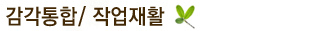 작업/감각통합치료